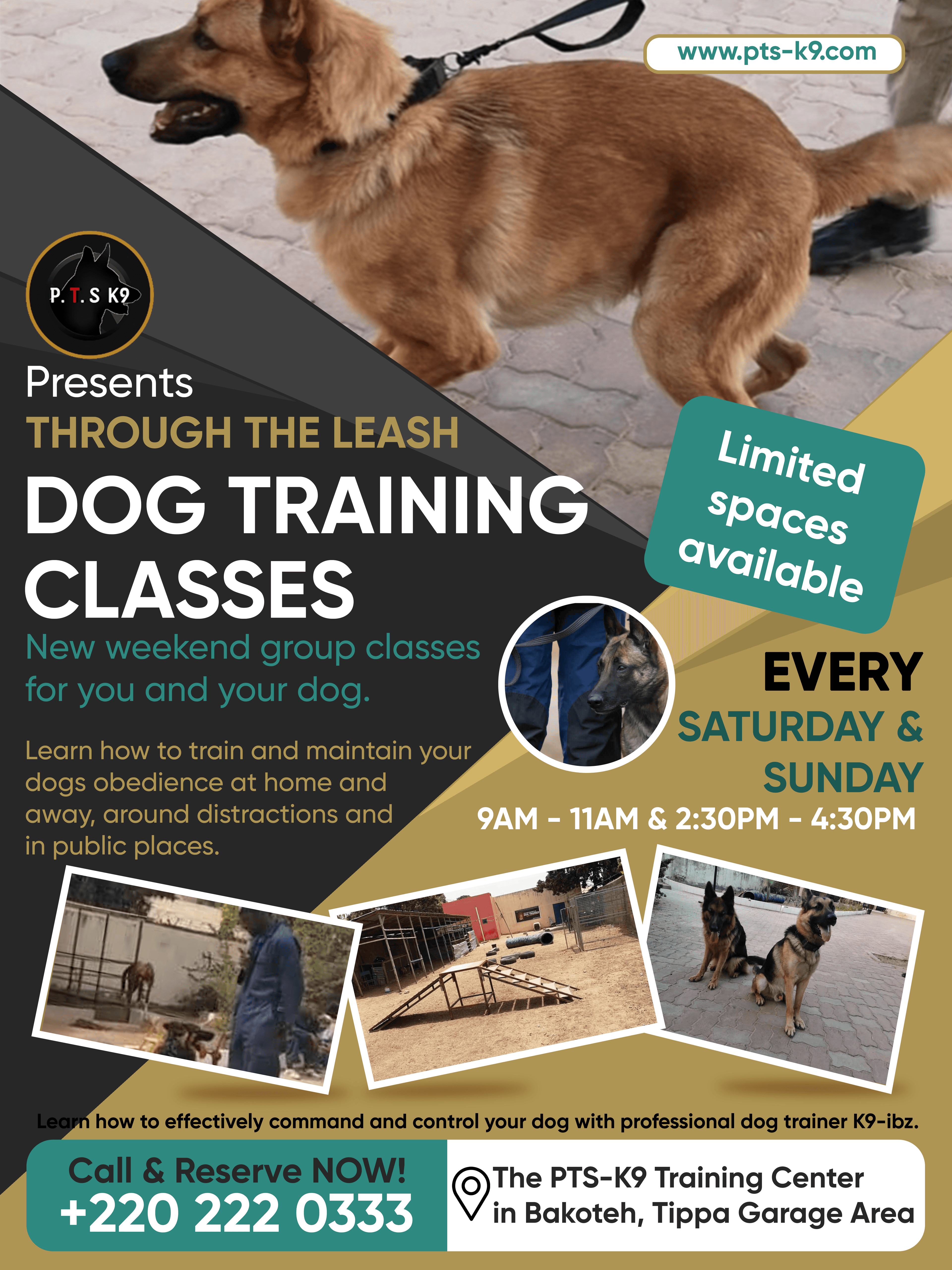 leash training